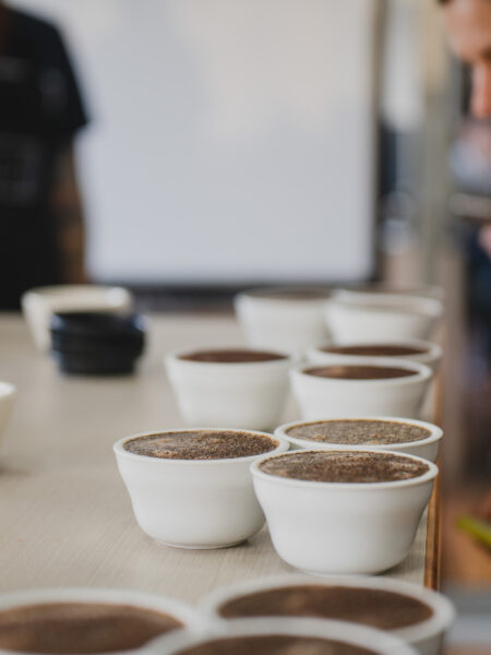 Básico de Barismo (Certificado por el ICAFE)